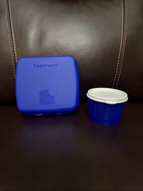Tupperware - Sandwich keeper - blue with additional container